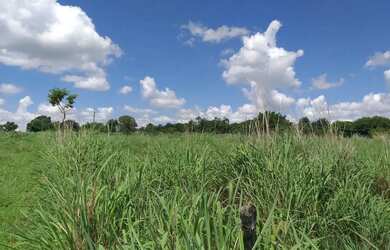 Imagem 12: Lote / Área comercial / Terreno / Go 020 Bela Vista de Goias
