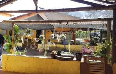 Imagem 10: VENDO LINDA CHACARA DE 2.500 M² A 05 KM DE MONTES CLAROS MG, SENTIDO...