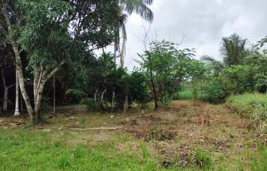 Imagem: O terreno possui 2.000m² de Área e está localizado em Área