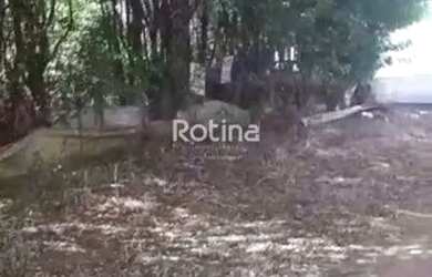 Imagem: O terreno possui 12m² de Área e está localizado em Morada