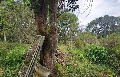 Imagem 10: Super chacara encostada no centro de juquitiba