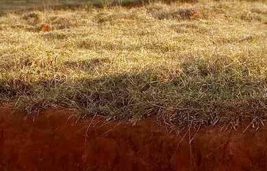 Imagem: O terreno possui 720m² de Área e está localizado em Vila