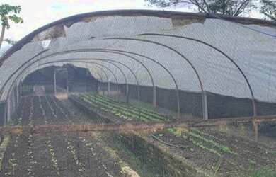 Imagem 8: Lotes na Fazenda Real Macaiba