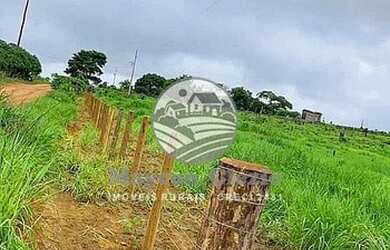 Imagem 3: Candeias do Jamari - Fazenda - 84 Alqueires Barato