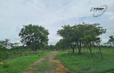 Imagem 12: Venda - Fazenda 24 hectares Brazlandia DF fazenda