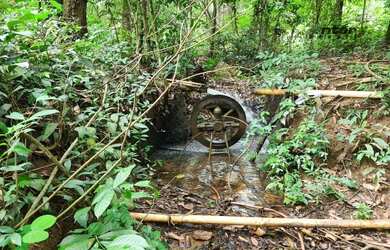 Imagem 14: Venda - Fazenda 24 hectares Brazlandia DF fazenda