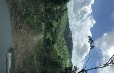 Imagem 2: VENDO FAZENDA 127 hectares