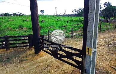 Imagem 5: Candeias do Jamari - Fazenda - 84 Alqueires Barato