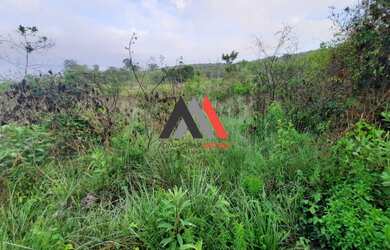Imagem 10: Terreno 10.000 m² 100 aproveitável