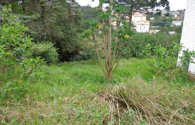 Imagem 8: Área à venda, 2500 m² por R$ 2.750.000,00 - Granja Viana - Cotia/SP