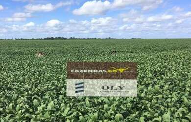 Imagem: A fazenda e está localizado em Setor Central, Piracanjuba à