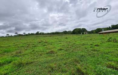 Imagem 2: Venda - Fazenda 24 hectares Brazlandia DF fazenda