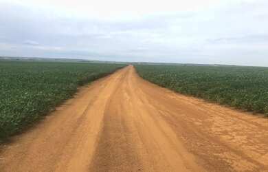 Imagem: A fazenda está localizado em Centro, Uberlândia à venda por