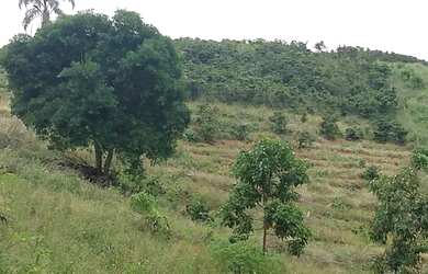 Imagem: O terreno está localizado em Parque Turf Club, Campos Dos Goytacazes