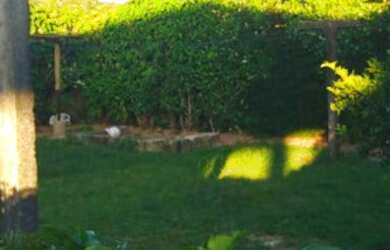 Imagem 10: Casa em Imbituba, localizada no bairro Alto Arroio a 600 metros até a...