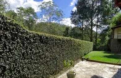 Imagem 15: Mury - Nova Friburgo/RJ. Varanda, Área de serviço, Lareirae2 Vagas na...