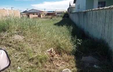 Imagem 5: Oportunidade única