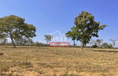 Imagem 10: Fazenda 147,3 alqueires 713 hectares Bom Jardim de Goiás