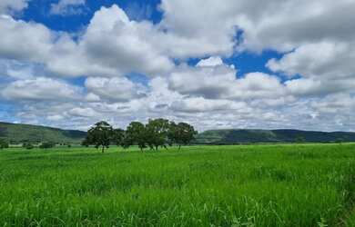 Imagem 7: Fazenda de 404 hec em Nobres MT. Com 300hec formados 13 milhões