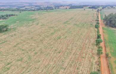 Imagem 7: Fazenda São Bento Bela Vista Goiás 32 Alqueires ou 68.5 alqueires ambos...