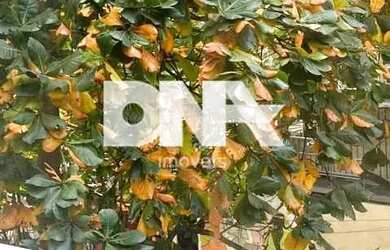 Imagem 11: Apartamento Padrão / Residencial / Copacabana