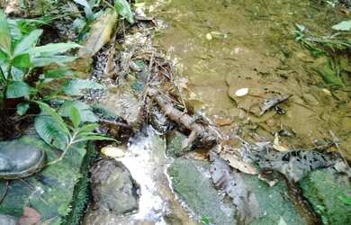 Imagem 2: Super oportunidade pegada ao centro de juquitiba 177 mil reais