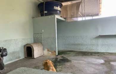 Imagem 13: Casa, Bairro Santa Eugênia, 2 quartos, garagem 1 carro e terraço