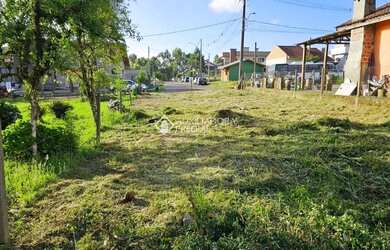 Imagem 4: Terreno Plano à Venda em Canela Serra Gaúcha