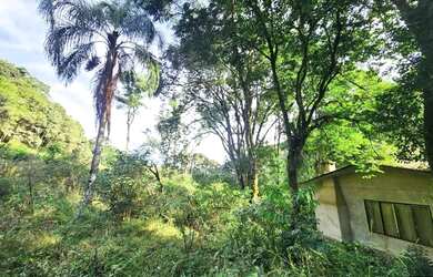 Imagem 2: Sítio / Chácara para Venda em Nova Petrópolis, Linha Pirajá Baixa