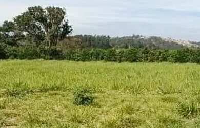 Imagem 8: Ds lotes liberados pra construir