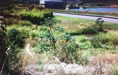 Imagem 16: Fazenda - 100 alqueires - Pasto Braquiara, Pedreira, água rio Paraíba