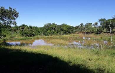 Imagem: A fazenda possui 260.000m² de Área e está localizado em