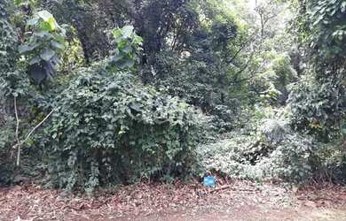 Imagem: O terreno possui 350m² de Área e está localizado em Tucuruvi