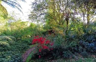 Imagem: O terreno possui 1.760m² de Área e está localizado em Gramado