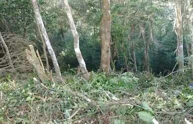 Imagem 3: Vendo terreno de 569 m2. 569m² de Área