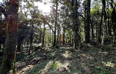 Imagem: O terreno possui 996m² de Área e está localizado em Canela