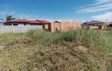 Imagem 4: Oportunidade única