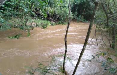 Imagem 8: Fazenda em piracanjuba. 100.000m² de Área