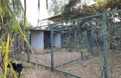 Imagem 16: Cond. Green Park - QD 04 - Cj 03 Park Way - TERRENO 4.700m²