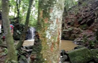 Imagem 6: Terreno próximo a cachoeira do monjolo 4 mil MTS