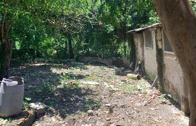 Imagem 12: Excelente terreno muito grande