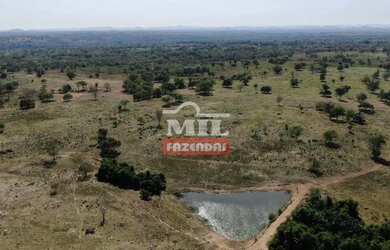 Imagem: A fazenda possui 500m² de Área e está localizado em Araguapaz