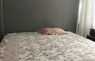 Imagem 10: Casa de Alto Padrão no Condomínio Paraíso dos Lagos Guarajuba