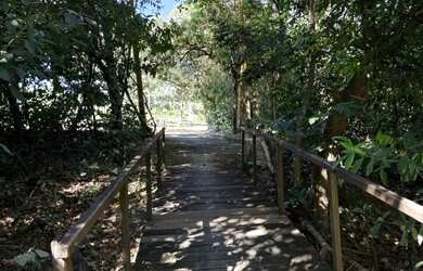 Imagem 10: Condomínio Village Recanto da Mata Bela Vista Goiás linda chácara disponível...