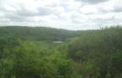 Imagem 3: Venda Fazenda 825 hectares em General Sampaio-CEARÁ