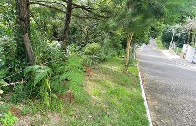 Imagem 2: Área de terra em Gramado