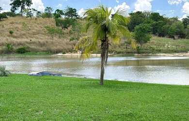 Imagem: A fazenda possui 47m² de Área e está localizado em Goiás