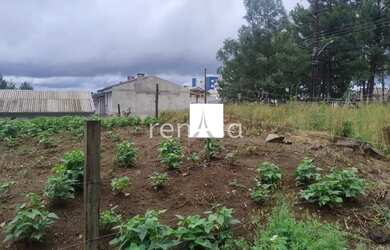 Imagem 4: Terreno para venda, Morada Dos Alpes, Caxias Do Sul
