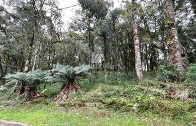 Imagem 2: TERRENO NO CONDOMÍNIO PINHEIRO GROSSO EM CANELA