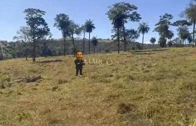 Imagem 6: Quem Investe em Terra Nunca Erra